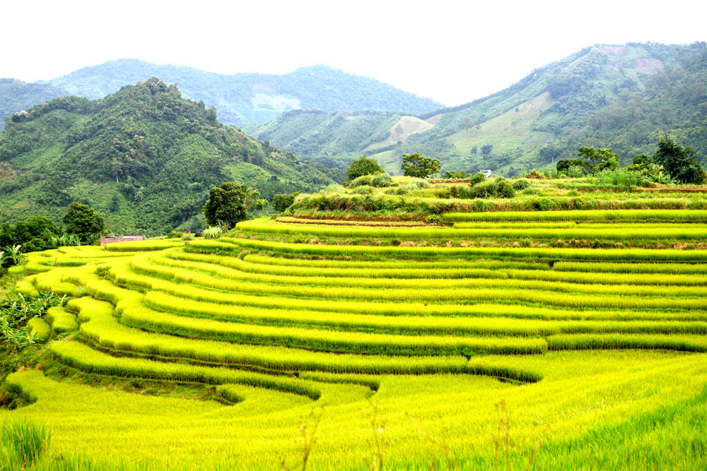 Quảng Ninh: Đại Dực phát triển du lịch
